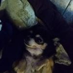 Profile Picture of Rhonda Montoya (@ronetbean35) on Instagram