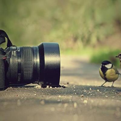 Profile Picture of Sean McEnroe (@seanmcenroe772) on Twitter