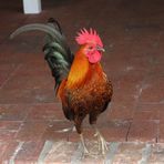 Profile Picture of Aidan Joyce (@aidan.joyce.35762) on Facebook