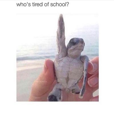 Profile Picture of Jacob Batty (@jbatty12345) on Twitter