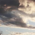 Profile Picture of Stamps & Stamps (@youbloomnow) on Instagram