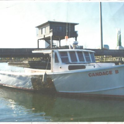 Profile Picture of Anthony. Verderame (@AnthonyVerdera2) on Twitter