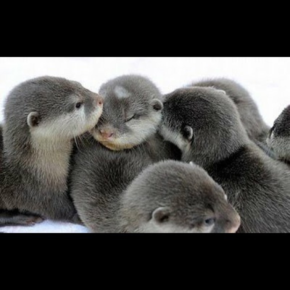 Profile Picture of Lacie Fetters (@laynatnick) on Poshmark