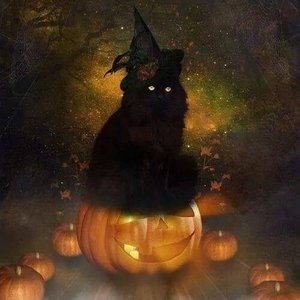 Profile Picture of Glenn Lambright (@glennlambright) on Myspace