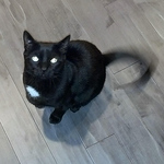 Mr. Tortoriello - Flickr Profile Picture of Mr. Tortoriello (@mr. tortoriello) on Flickr