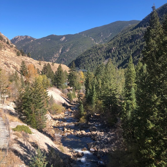 Profile Picture of Hannan Danon (@hdanon01) on Poshmark