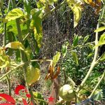 Profile Picture of Daniel Meunier (@daniel.meunier.9484) on Instagram