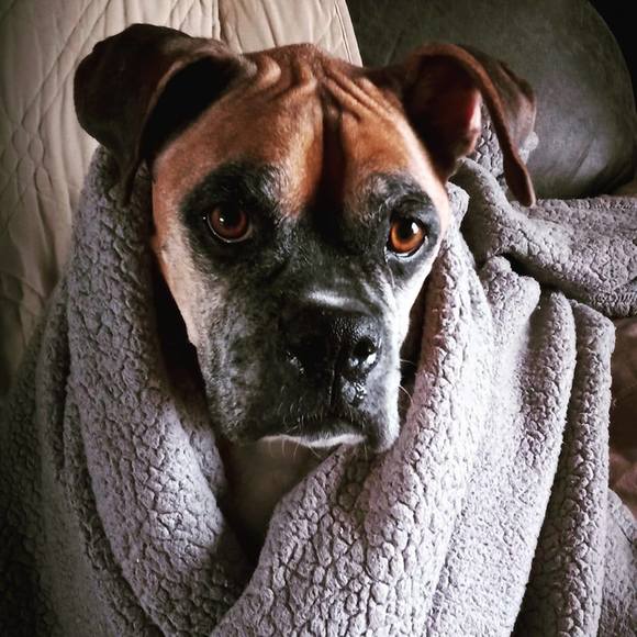 Profile Picture of Lorah Arnold (@loraharnold) on Poshmark