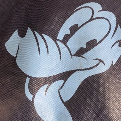 Profile Picture of Denise Conner (@dsfischlein) on Twitter