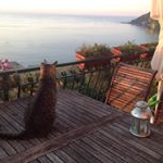 Profile Picture of B&B Case Rosse, Camogli, Italy (@caserossecamogli) on Instagram