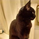 Profile Picture of Scot Trainer (@scot.trainer) on Instagram