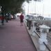 Profile Picture of Harold Benitez (@harold.benitez.946) on Facebook
