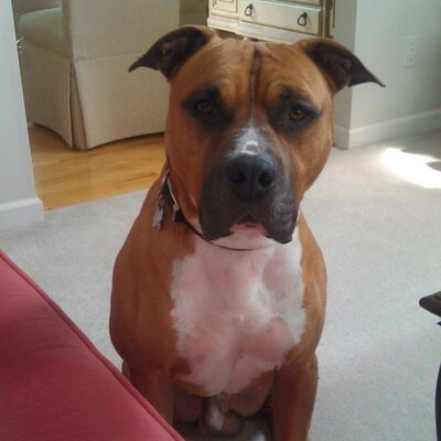 Profile Picture of Mike Sproles (@Mikesproles) on Twitter