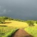 Profile Picture of Erik Blanker (@erikblanker) on Pinterest