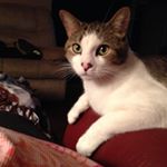 Profile Picture of Mary Jo Covell (@maryjocovell) on Instagram