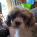 Profile Picture of Teresa Hawn Stiel (Teresa Hawn Stiel) (@teresa.stiel) on Facebook