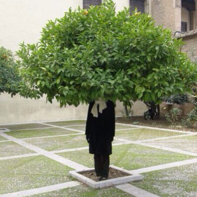 Profile Picture of Alice DuBois (@alicedubois) on Twitter