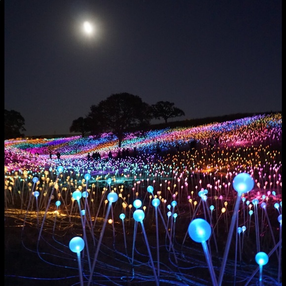 Profile Picture of Chavez Chavez (@sushiee) on Poshmark