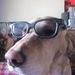 Profile Picture of Jameson Larsen (@jamesonlars) on Pinterest