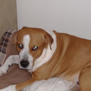 Profile Picture of Stephanie Andrade (@steph_robert) on Myspace