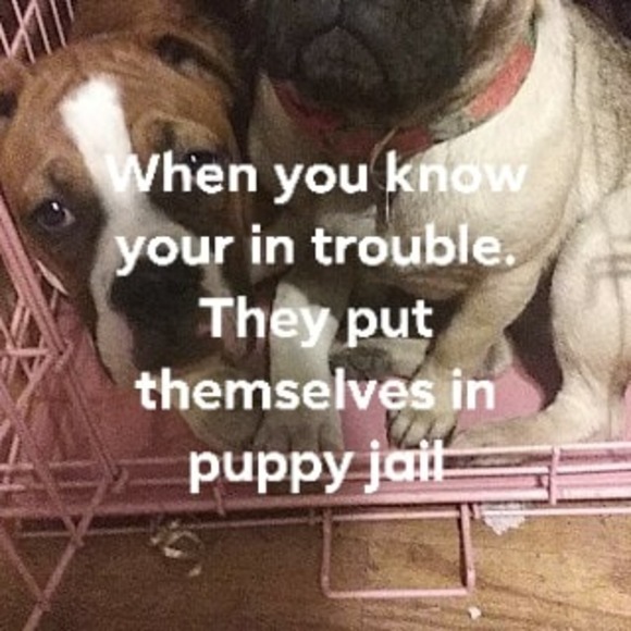 Profile Picture of Peter Schoneman (@peterschoneman) on Poshmark