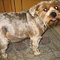 Profile Picture of Thomas Welch (@thomas-welch-18) on Quora