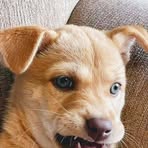 Profile Picture of John Kevin D. Omes (@jonjohn.johnie) on Facebook