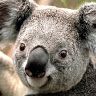 Profile Picture of Jeff Krag (@jmk1996) on Tiktok