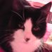 Profile Picture of Paula Busch (@paula.busch.9) on Facebook
