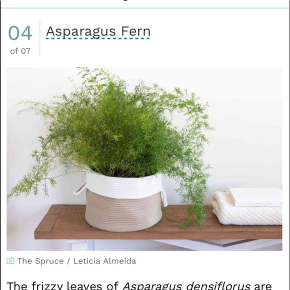 Profile Picture of Nicole Oberholtzer (@n_oberholtzer) on Poshmark