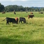 Profile Picture of gerrit (@gerrit_vandyk_farms) on Instagram