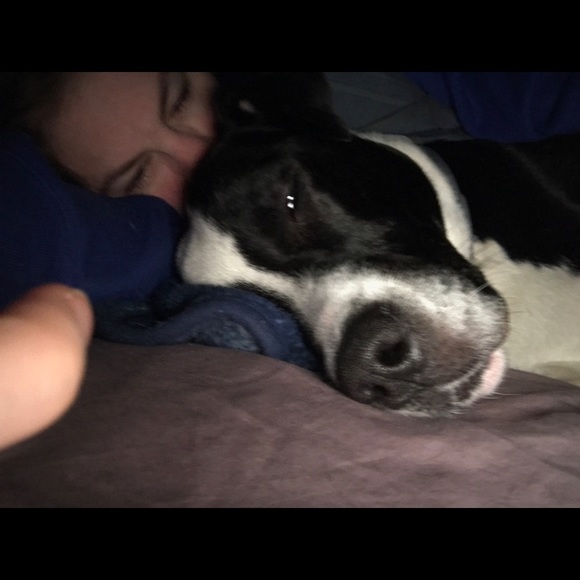 Profile Picture of Natasha Sitlinger (@nms88) on Poshmark