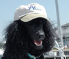 Profile Picture of Marshall Lucas (@teammt) on Flickr