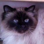 Profile Picture of Sandra Catenacci (@sand_catena) on Instagram