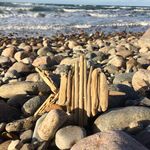 Profile Picture of Lise Goltermann (@decoratewithnature) on Instagram