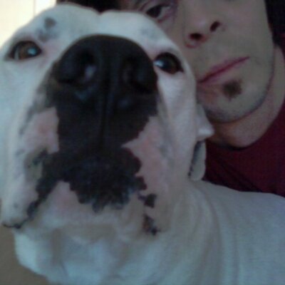 Profile Picture of Bill Martinez (@cageddrummer) on Twitter