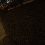 Profile Picture of Hannah Griffins (@hannahgriffins) on Instagram