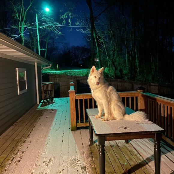 Profile Picture of Mason Ziemer (@masonziemer) on Poshmark