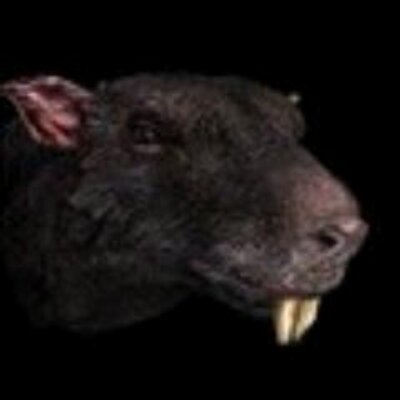 Profile Picture of Jesse Unruh (@tramintalen) on Twitter