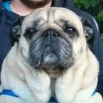 Profile Picture of Joel Mueller (@joel.mueller78) on Instagram