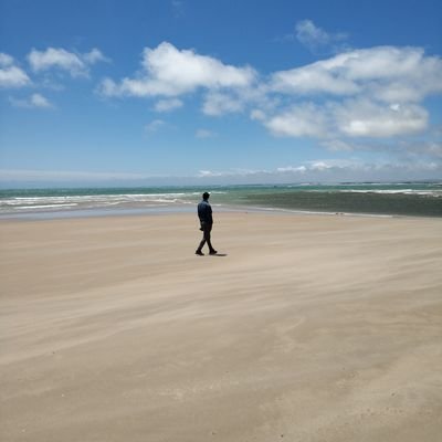 Profile Picture of TONG LI (@TONGLI81698190) on Twitter