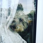 Tracey Mc Nulty - Instagram Profile Picture of Tracey Mc Nulty (@traceynulty) on Instagram