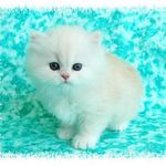 Profile Picture of ruby hannah garbutt (@fjruby3438) on Instagram