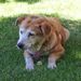 Profile Picture of winston chew (@chew725) on Pinterest
