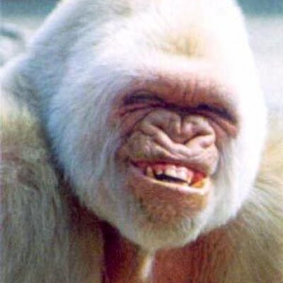 Profile Picture of Richard Beckley (@sTiCkY_FiNgAzZx) on Twitter