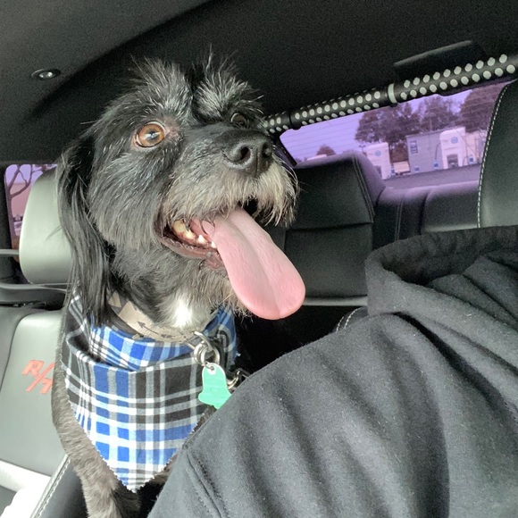 Profile Picture of John Jarrett (@jjarrett17) on Poshmark