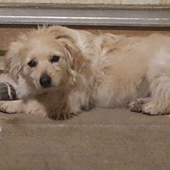 Profile Picture of Robert Winter (@@robertwinter7) on Tiktok