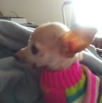 Profile Picture of Sherry Pile (@sherry.pile.7) on Facebook