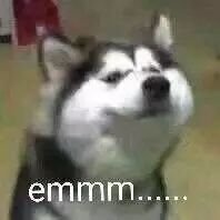 Profile Picture of Kenny Cen Feng (@kenny_cen) on Twitter