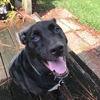 Profile Picture of Richard Hillyard (@richard-hillyard-1) on Quora